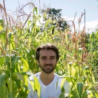 Constantin Nifachev Légumes Perchés 🌶️