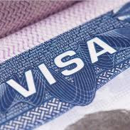 Visa Assistant