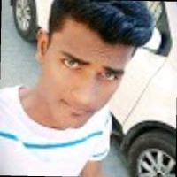 Vishalbirjdar Birjdar