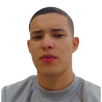 Ender Guaina