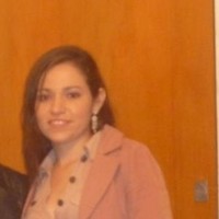 karina Elizabeth Bareiro Menese
