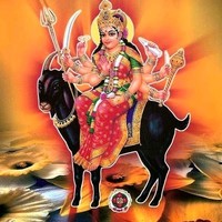 Jatin Jani