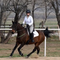 Carol Nickell