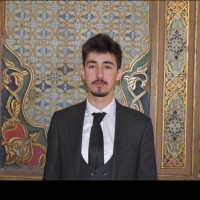 Talha Murat Arin