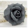 Grey Dev