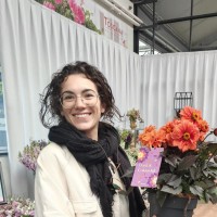 Mariana Afonso Teixeira
