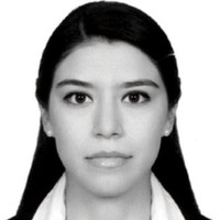Liat O. Villalobos Cruz