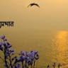 Tulsijohn Chouhan
