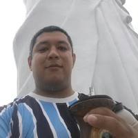 Ronaldo F Lemos