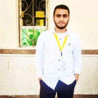 Mahmoud Safwat
