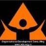Organizational Development Consulting