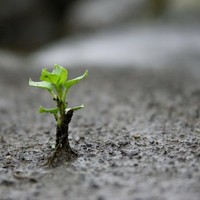 Наталия Мовчан