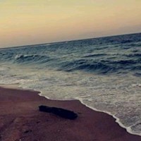 مصمم فيديوهات