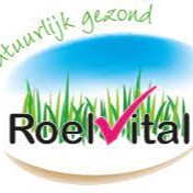 Roel Vital