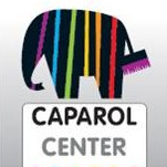 Caparol Center Bourgoin - Michel Privat