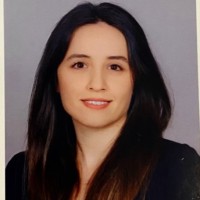 Sinem Kurt