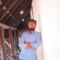 Mohammad Amees