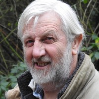 Nicholas Fox