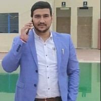 Mayank K.