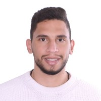 Mohamed Hossam-Eldin