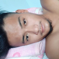 Zion M Lotha