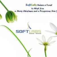 soft labs