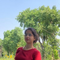 Nidhi Koundal