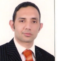 Amr Salem