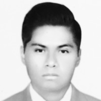 Sergio Alberto Flores Paleta