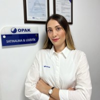 merve akçay