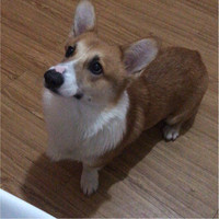 冯家浩