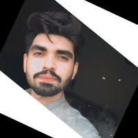 Muhammad Adeel Javed