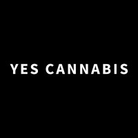 Yes Cannabis