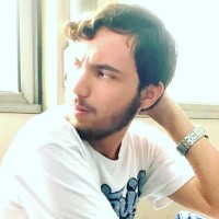 Luiz Felipe dos Santos Narciso