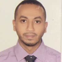 Amro Mohamed