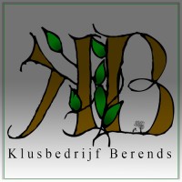 Robin Berends