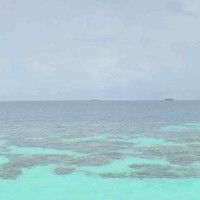 王虹霄