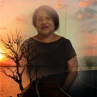 Aileen Kaiulo