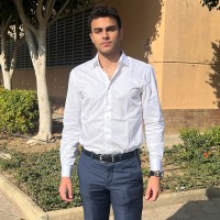 Moustafa Abuelmagd
