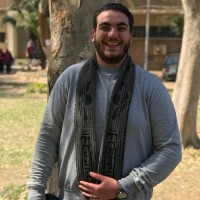 Mohamed Yosry
