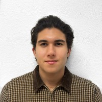 Diego Ocando Pena
