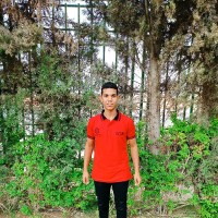 Abd Elrhman E.