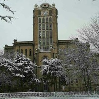 Ali Aghdam