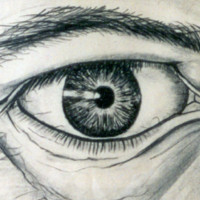 Robert M van der Schoor