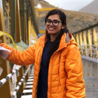 Ritu Parashar