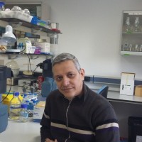 Kamel Ben Salah