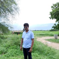 n rammurthy