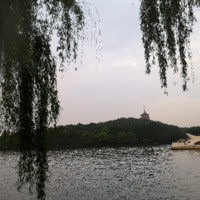 刘英珍