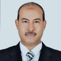 Mohamed Hamdy Abd El Aziz, MBA