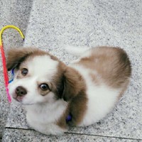 王伟家